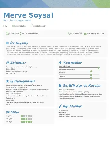 Yabancı Dil Öğretmeni Cv Örnekleri cv indir